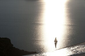 Sea & Sky Villa