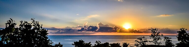 Harmonie Tropicale