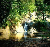 La Gamba Rainforest Lodge