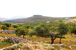Taybeh Golden Hotel