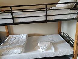 Painted Turtle Guesthouse (Hostel)