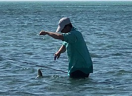Isla Marisol Resort