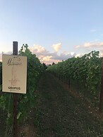 Agriturismo Macesina