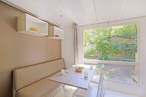 Camping de Strasbourg