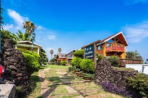 Ocean Log Pension