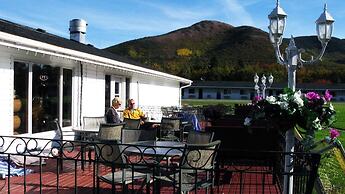 The Mountain View Motel & Cottages