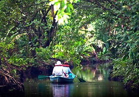 Turtle Beach Lodge