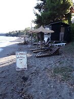 Azalea Studios