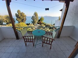 Azalea Studios