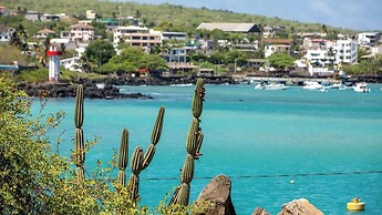Golden Bay Galapagos