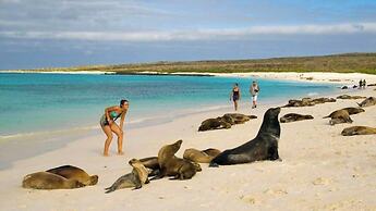 Golden Bay Galapagos