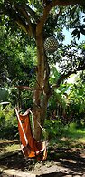 Mango Tree Inn