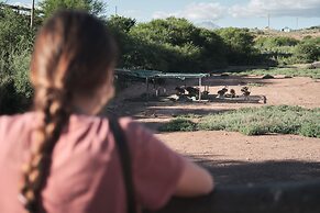 AfriCamps Klein Karoo