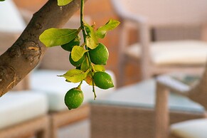 Thalassi Hotel