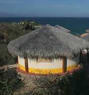 Palapas Ventana