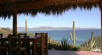 Palapas Ventana