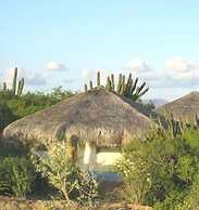 Palapas Ventana