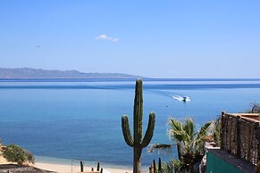 Palapas Ventana