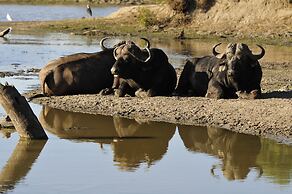 Inyati Game Lodge