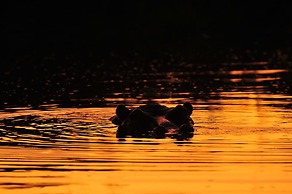 Inyati Game Lodge