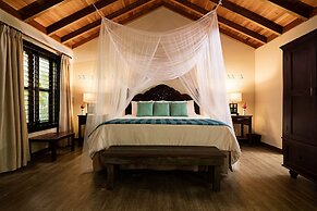 Jungle Lodge Hotel