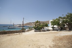 Asimina