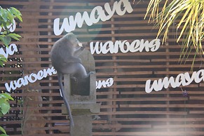 Umaya Ubud Villa