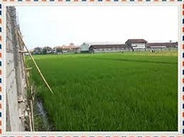 Villa D'Kerobokan