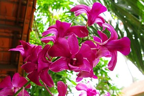 Hiep Hoa Resort