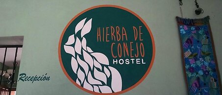 Hierba de Conejo - Hostel