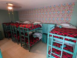 Hierba de Conejo - Hostel