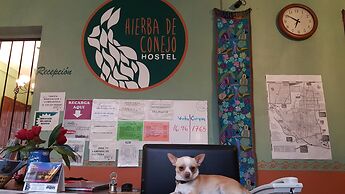Hierba de Conejo - Hostel