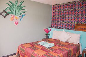 Hierba de Conejo - Hostel