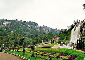 De Goti Dago Pakar