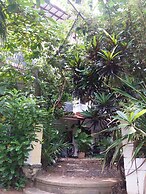 Peacock Wings Guest House