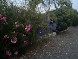 Nissi 49 Apartments