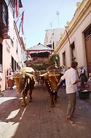 Hotel Rural Orotava
