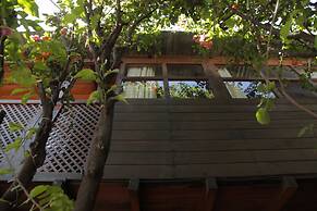 Yellow House - Hostel