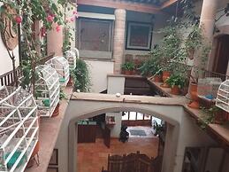 Casa del Pingorongo