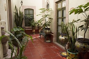 Casa del Pingorongo