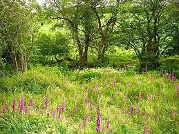 St. Tinney Farm