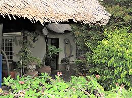 Parrot Lodge