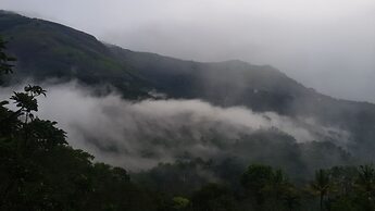 Mistletoe Munnar