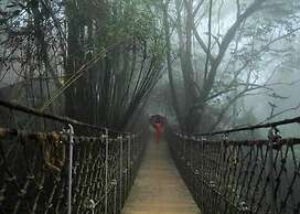 Vythiri Resort