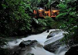 Vythiri Resort