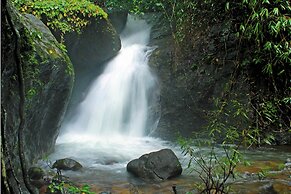Vythiri Resort