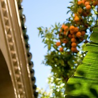Riad La maison d'à côté