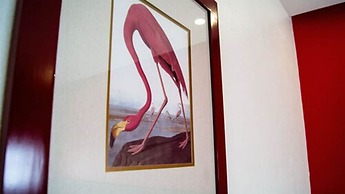 Hotel Dharma
