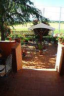 La Mimosa