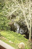 Lugar del Río